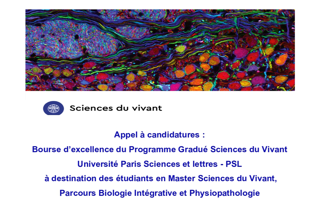 Appel à candidature 2026-2027 - Bourse d’excellence du Programme Gradué Sciences du Vivant (parcours BioP)