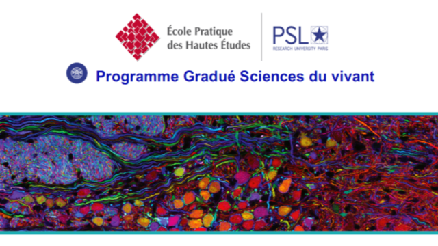 Bourse de mobilité internationale - Master SDV PPI - appel à candidature (date limite 30/06)